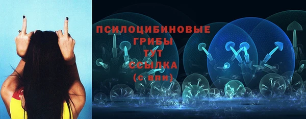 индика Беломорск