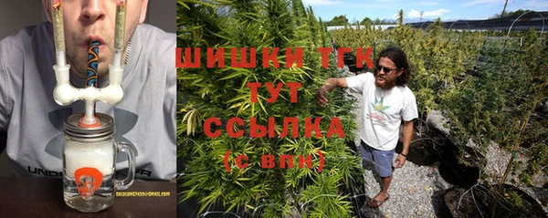 индика Беломорск