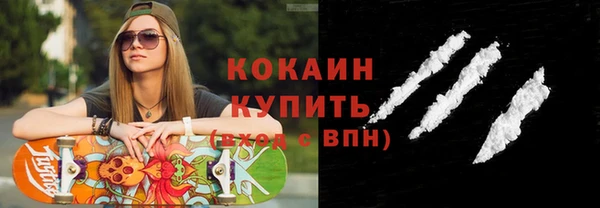 индика Беломорск