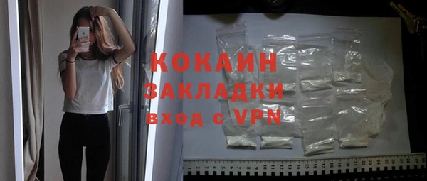 индика Беломорск