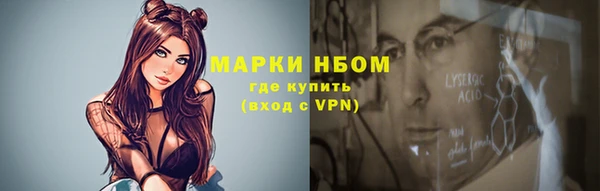 индика Беломорск
