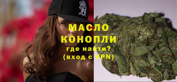 индика Беломорск