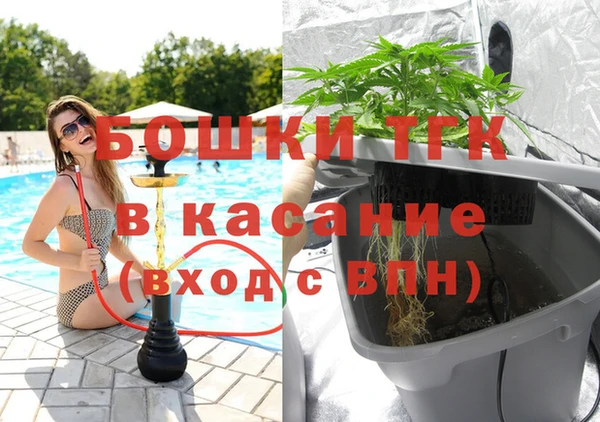 индика Беломорск