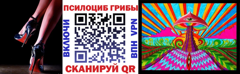 МЕГА зеркало  Гусев  Псилоцибиновые грибы Cubensis 