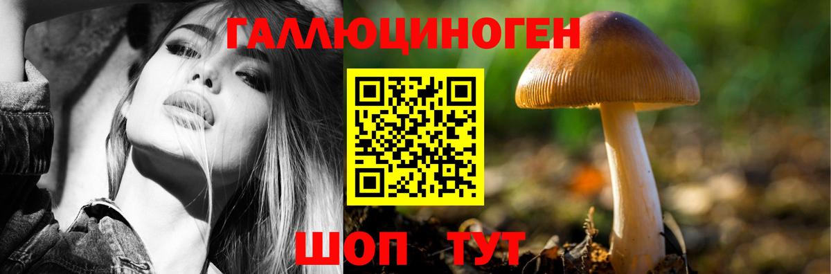 магазин продажи наркотиков  Псилоцибиновые грибы Magic Shrooms  Вход с VPN  Гусев  Псилоцибиновые грибы Cubensis 
