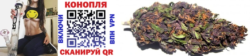 shop наркотические препараты  Гусев  Канабис конопля 