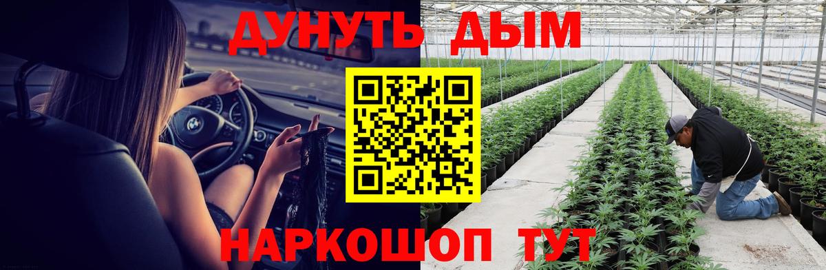 Гусев  Конопля семена  Каннабис марихуана  Шишки марихуана планчик  Вход с VPN 